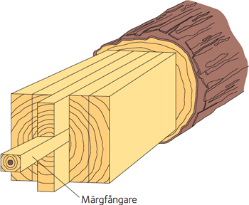 Märgfångare