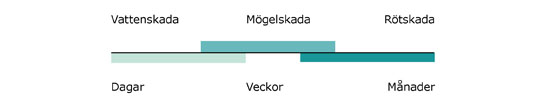 Mikroorganismer