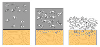 Schematisk beskrivning av oxidativ torkning, av färgskikt.